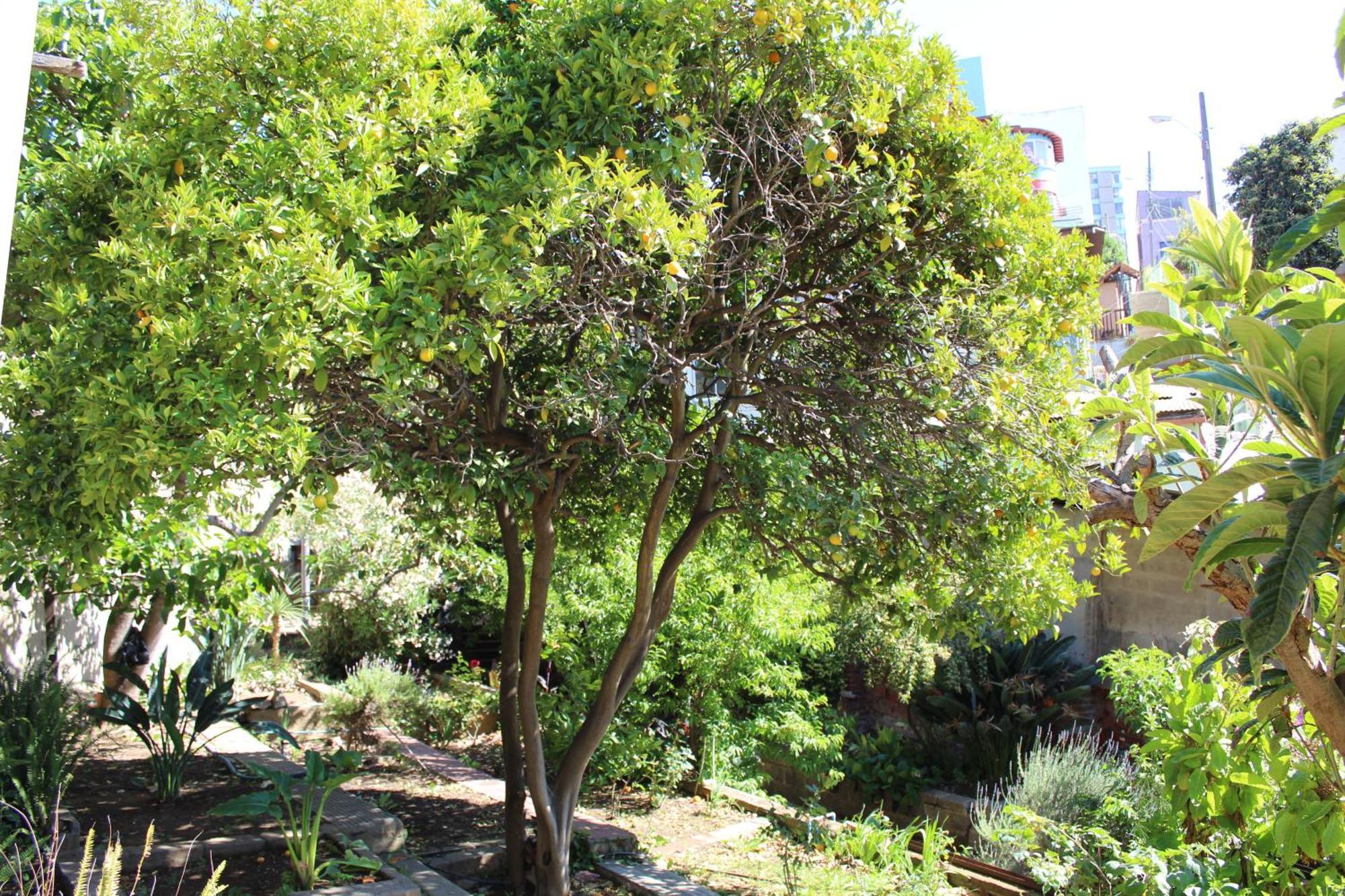 Hotel Boutique & Spa Puerto Natura Valparaiso Ngoại thất bức ảnh